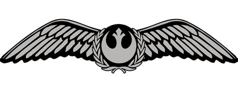 Free Pilot Wings Cliparts Download Free Pilot Wings Cliparts Png Images Free Cliparts On