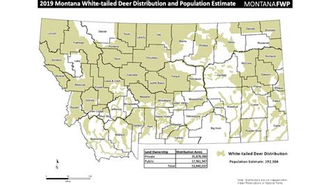 Application Strategy 2021 Montana Deer Gohunt The Hunting Company