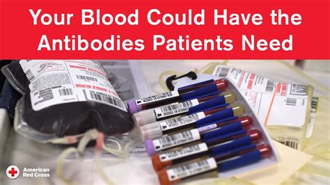 Red Cross blood donation testing for COVID-19 antibodies provides new ...