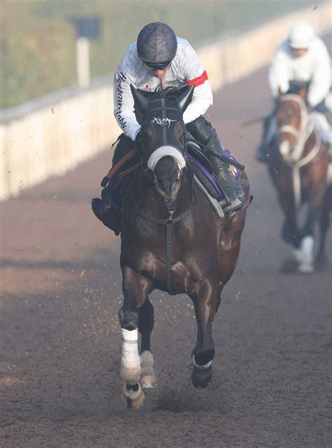 【高松宮記念】ナムラクレア 充実4歳春に悲願へ加速！坂路ラスト1f12秒1― スポニチ Sponichi Annex ギャンブル