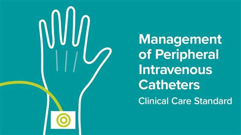 Improving The Use Of Cannulas Launch Of The Peripheral Intravenous