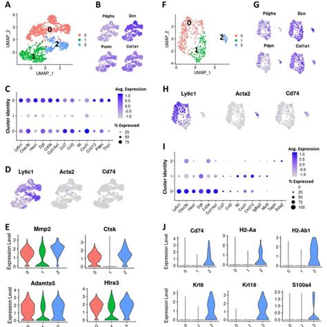 Characterization Of Caf Subtypes In T Breast Cancer A Cell