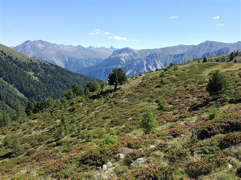 Rundwanderung Watles Panoramatour Schlinig Aktivitäten und Events in