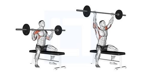 Cable Seated Rear Lateral Raise Guide Benefits And Form