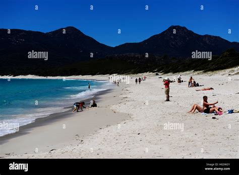 Sunbathing On The Wineglass Bay Beach In Tasmania Australia Stock