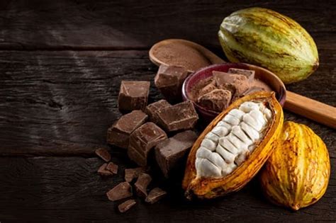 Precio del cacao más allá de una simple cifra