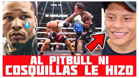 No Pudo Noquearlo El Pitbull Cruz Es El Unico Que No Pudo Ser