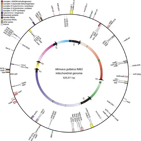 Genome Map