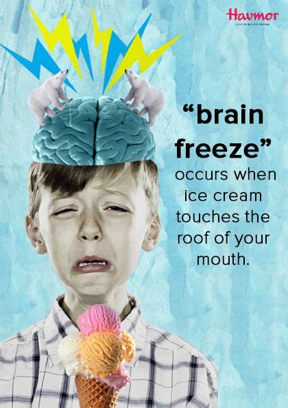 Fact “ Brainfreeze “ Occurs When Ice Cream Touches The Roof Of Your