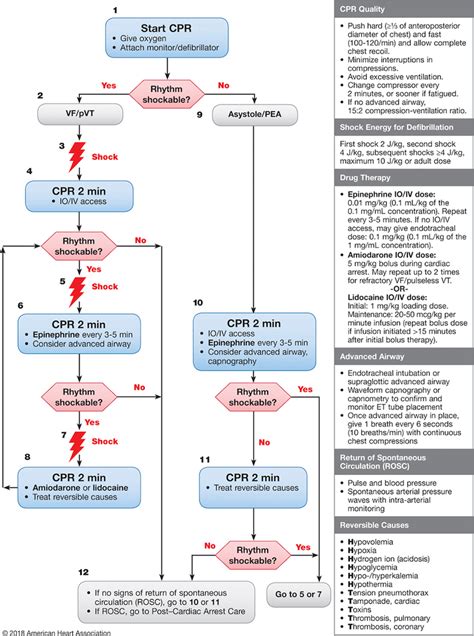 Aha Cpr Algorithm 2022