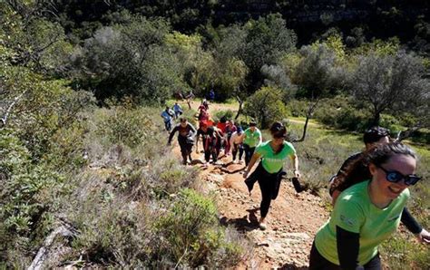 Confraria Do Bacchus Promove Caminhada Solid Ria Em Albufeira Postal