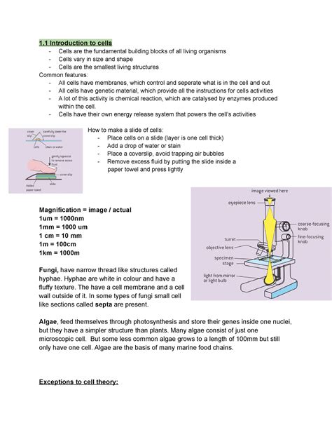 1 Useful For IB SL Biology Students 1 Introduction To Cells Cells