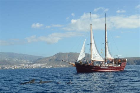 Paseo En Goleta Con Avistamiento De Cet Ceos En Costa Adeje