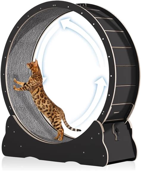 Pawhut Cat Wheel For Indoor Cats 36 Cat Treadmill With