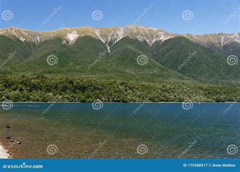 A Mountainous Back Drop To The Fresh Water Lake Lake Rotoiti New