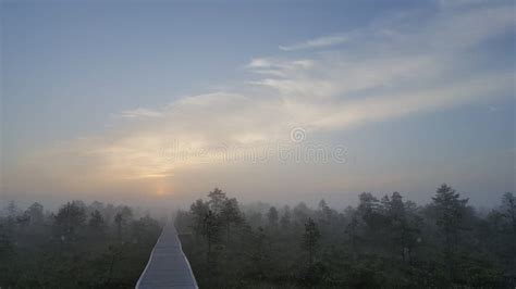 早晨薄雾 库存照片 图片 包括有 结构树 天空 有雾 早晨 云彩 苏醒 薄雾 暧昧 上升 75292546