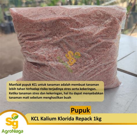 Jual Pupuk Buah Kcl Kalium Repack Kemasan Kg Shopee Indonesia