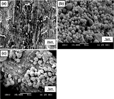 Typical Sem Micrographs Of A A356 Al Alloy B Rice Husk Ash Rha And