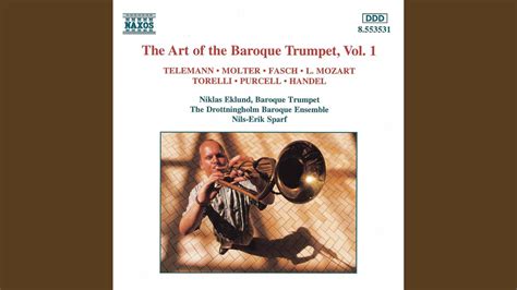 Trumpet Concerto In D Major Twv D I Adagio Youtube