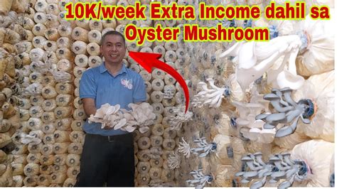 Education Supervisor Laki Ng Extra Income Sa Oyster Mushroom Farming