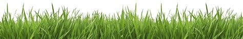 Grass Png Image Green Grass Png Picture Grass - Clip Art Library