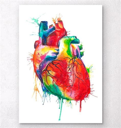 a watercolor painting of a human heart on a white background with paint ...