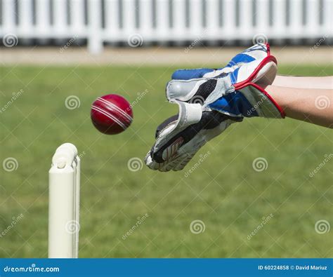 Cricket Wicket Keeper Stock Photo Image Of Sphere Objects 60224858