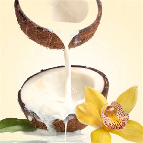 Ng Coconut Vanilla Type Fragrance Oil Natures Garden Candles