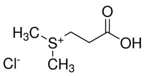 Amino Nitrophenyl Propanediol Aldrichcpr Sigma Aldrich