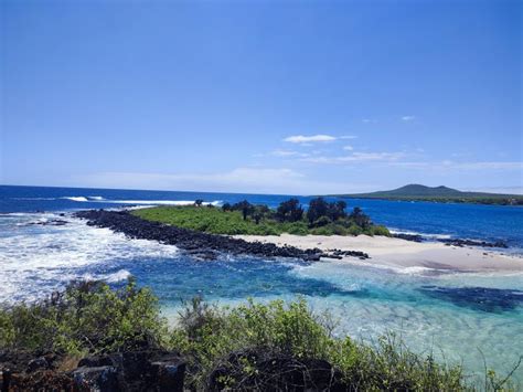 Floreana Island Tour Galapagos Does It Worth It My Trip To Ecuador