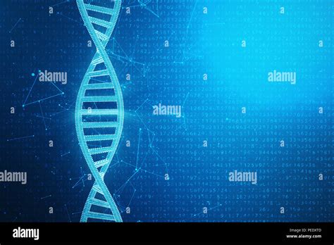 Estructura De La Mol Cula De Adn La Digital Concepto De C Digo