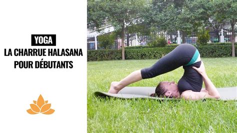 Yoga La Charrue Halasana Pour D Butants Youtube