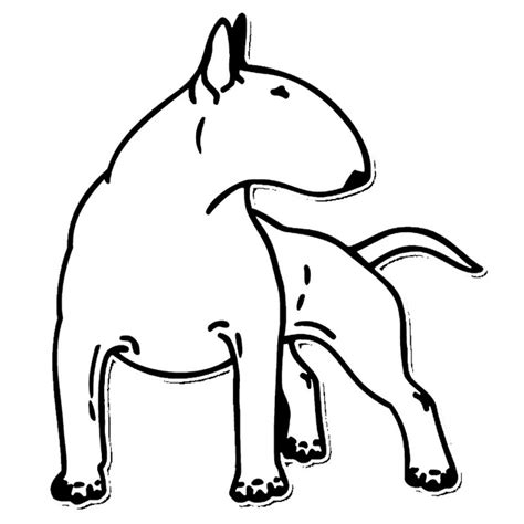 Bull Terrier Drawing At Getdrawings Free Download