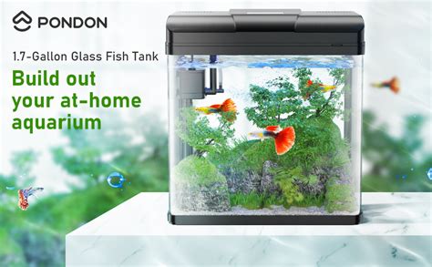 Amazon Pondon Fish Tank Gallon Glass Aquarium With Air Pump