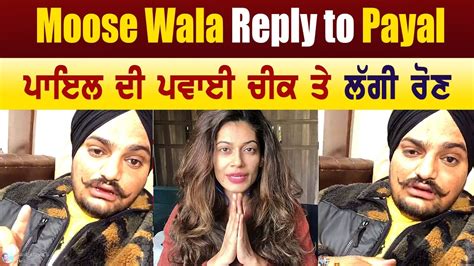 Diljit Dosanjh Sidhu Moose Wala Reply To Payal Rohatgi Sidhu