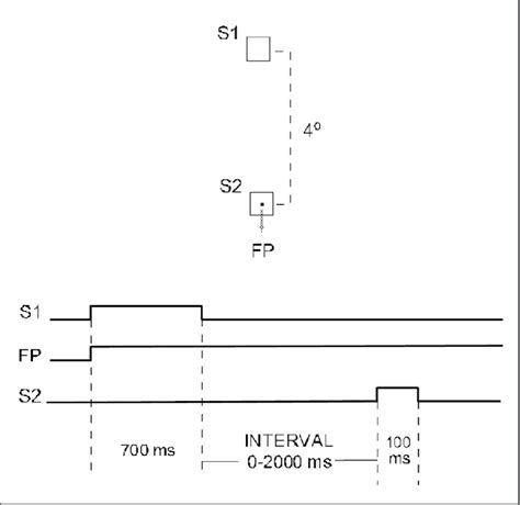 Schematic Representation Of Stimulus Display And Temporal Sequence Of