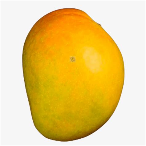 Buy Devgad Hapus Mangoes In Pune Fresh Premium Quality Organic Mangoes