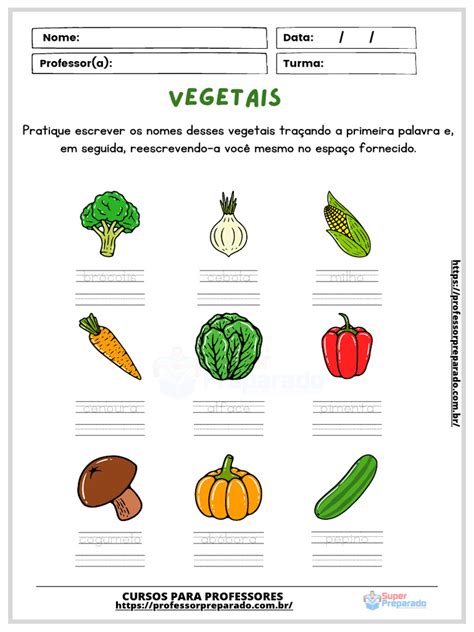 Como Os Vegetais Se Relacionam - Atividades de Identificação de Vegetais | PDF | Educação Especial ...