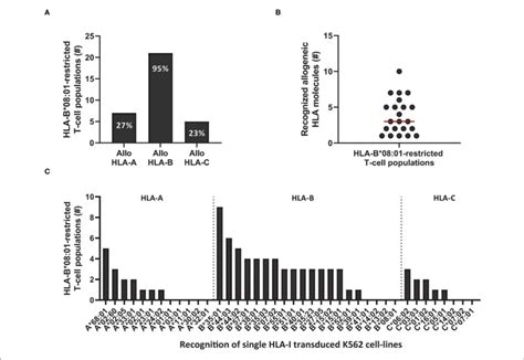 Cross Reactivity By Hla B0801 Restricted Virus Specific T Cells Is