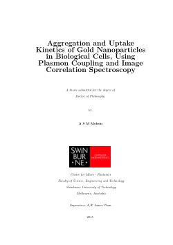 Aggregation And Uptake Kinetics Of Gold Nanoparticles In Biological