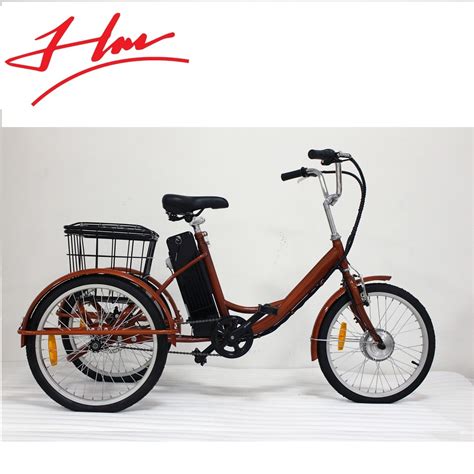 36V 250W Three Wheel Cargo Electric Motorized Bike Tricycle For