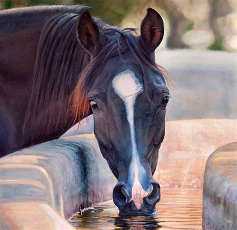Bay Horse Wallpapers Top Free Bay Horse Backgrounds Wallpaperaccess