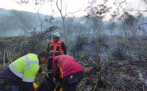 Logran Sofocar Incendio En Las Faldas Del Cerro San Pablo En Cuautlapan