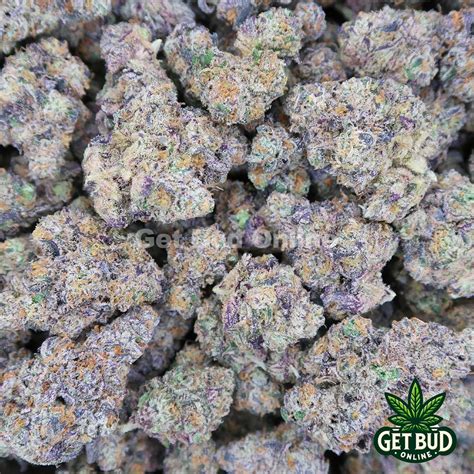 Sour Kush Top Shelf Bud Get Bud Online Usa