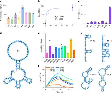 Analysis Of Aptamer Candidates Acquired With One Step Has A Spr