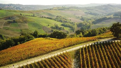 The Wine Hunter Vinos De Terroir