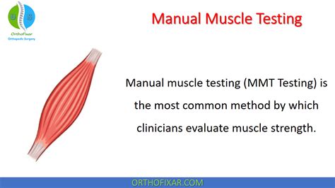 Manual Muscle Testing Easy Explained OrthoFixar 2022 In 2022