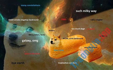 【1️⃣】 Hình nền Doge Windows, meme doge windows 11, doge wallpaper - Trường Tín™