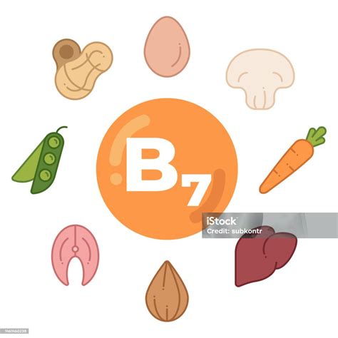 Foods Rich In Vitamin B7 Stock Illustration Download Image Now