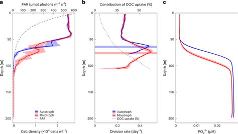 Vertical Profiles Of Simulated Autotrophs And Mixotrophs In The